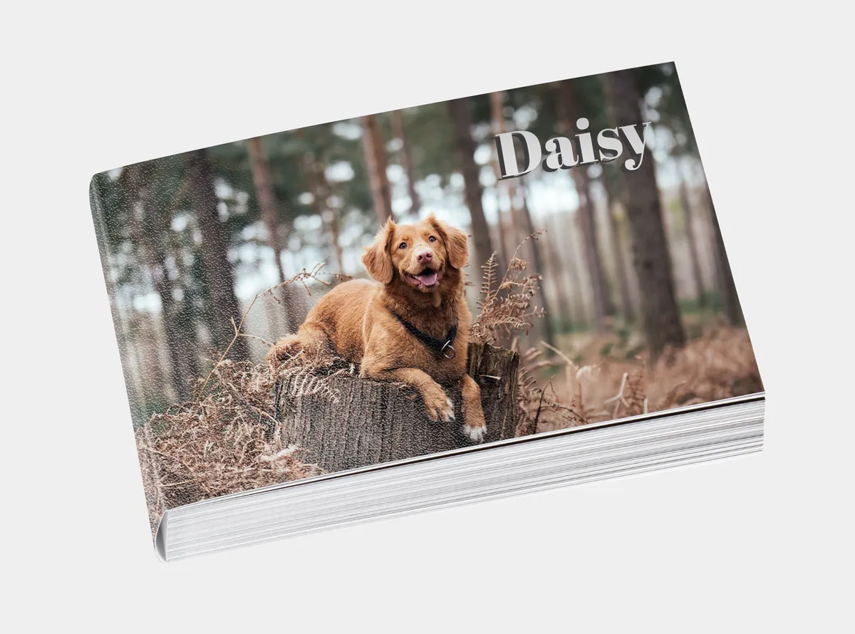 Echtfotobuch Softcover A5 quer mit Foto eines kleinen Mädchens auf dem Cover
