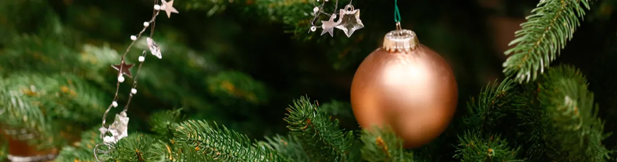 Mehr Weihnachtsgeschenke entdecken