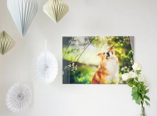 Foto hinter Acryl-Glas